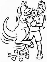 Boxing Coloring Kangaroo Pages Sports Fighting Cliparts Guy Clipart Gloves Printable Print Library Kids Book Categories sketch template