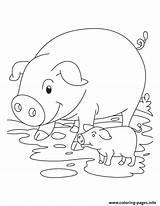 Pig Coloring Piglet Pages Pigs Baby Cute Piglets Color Template Printable Print Kids Clip Mud Simple Info Animal Many Popular sketch template
