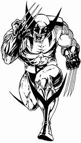 Wolverine Sketch Drawinghowtodraw Tutorial Engel Anime Colorpages Hulk sketch template