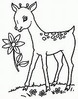 Deer Print Library Clipart Colouring sketch template