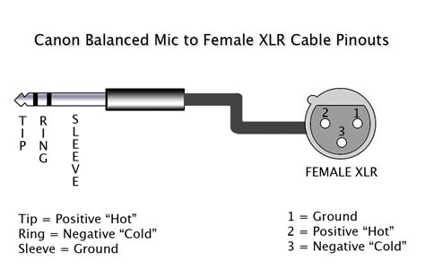 android trrs  xlr male cable wiring diagram  audio