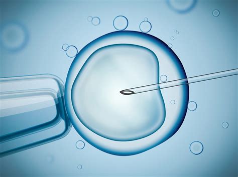 ivf success rates multiple births cost… what are the facts ivi
