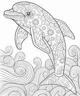 Dolphin Pdf Relaxing Dolphins Tangle Verbnow Jumping sketch template