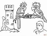 Coloring Chess Book Para Ajedrez Colorear Pages Dibujo Parrots Clipart Public Loros Jugando Clip Vectors Playing Domain Svg Games Skip sketch template