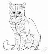Kitten Lineart Realistic Drawing Getdrawings Deviantart sketch template