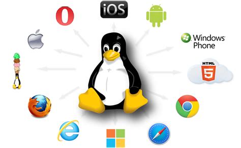 hacking tools  linux operating system