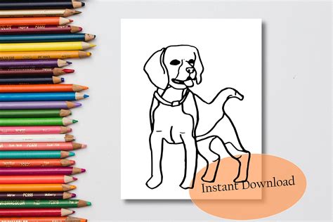 beagle dog coloring page printable instant  print etsy