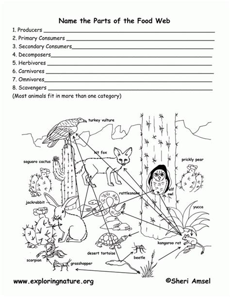 food web coloring pages coloring home