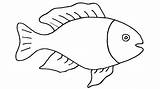 Fish Drawing Kids Easy Animals Simple Drawings Animal Coloring Step Zombie Draw Pet Kid Clipartmag Pages Teens Pdf Girls sketch template