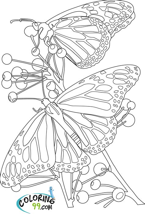 butterfly coloring pages team colors