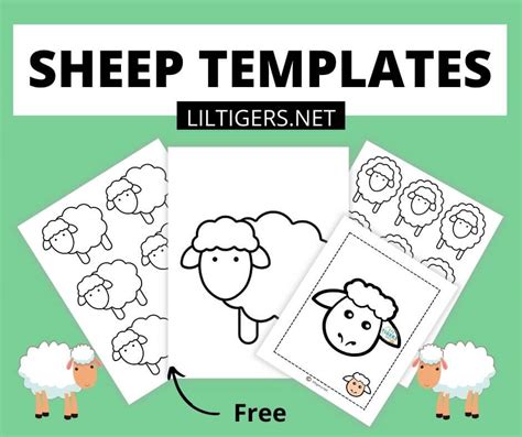 printable sheep templates  coloring sheets lil tigers lil tigers