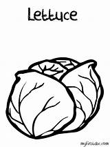 Lettuce Coloringhome sketch template