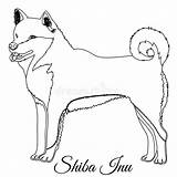 Shiba Inu sketch template