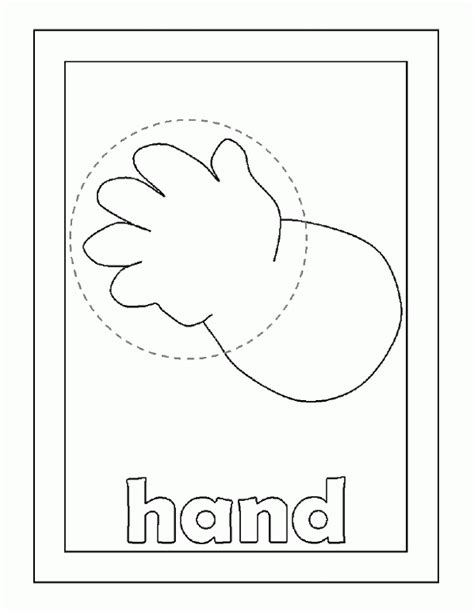 kids parts body coloring pages png  file popular