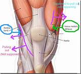 Quad Knee Injury Images