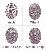 Fingerprints Different Types Photos