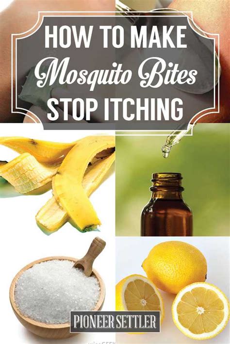 make mosquito bites stop itching with these 15 weird
