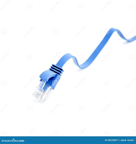blue ethernet cable rj stock image image  connector