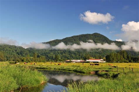 fraser valleybc   future