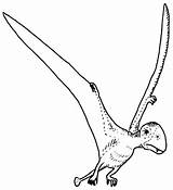 Dimorphodon sketch template