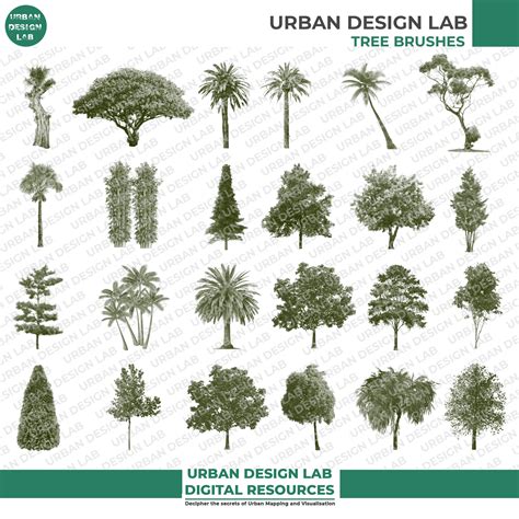 set   photoshop tree brushes urban design lab