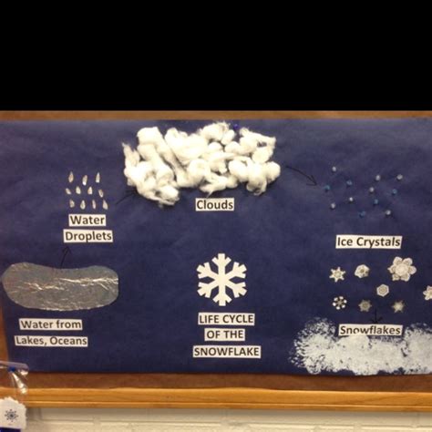 life cycle   snowflake classroom ideas pinterest snowflake bentley preschool winter
