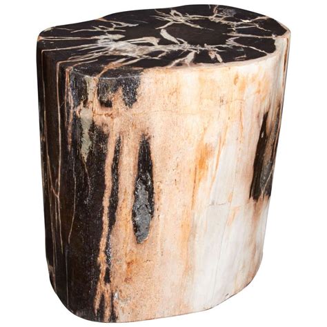 southeastern asia petrified wood side table  natural striped top