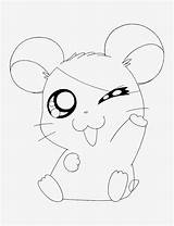 Mouse Cute Coloring Pages Drawing Mice Copy Getdrawings sketch template