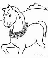Coloring Horse Pages Baby Printable Kids Popular sketch template