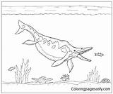 Pages Coloring Huge Ichthyosaur Dinosaurs sketch template