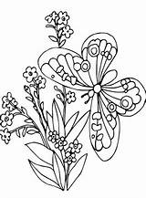 Vlinders Schmetterlinge Kleurplaten Vlinder sketch template