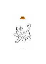 Torracat Ausmalbild Coloriage Supercolored Bild sketch template