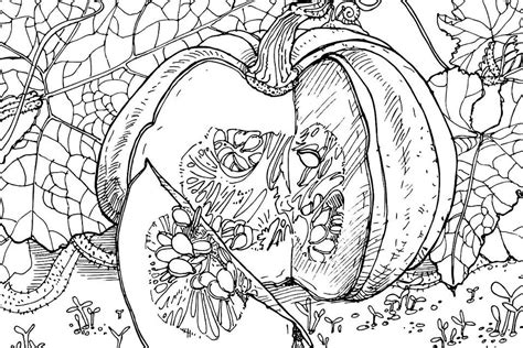 pumpkin coloring pages   fun printable coloring pages