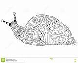 Snail Coloring Adults Vector Adult Zentangle Illustration Pattern Colouring Stress Anti Lines Lace Book Style Mandalas Stock Mandala Pages Choose sketch template