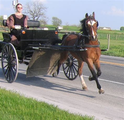634 best amish andother faces images on pinterest amish country amish community and tennessee