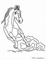 Pur Cavalo Hellokids Caballo Selvagem Coloriages Hoofed Caballos Colorier sketch template