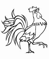 Rooster Coloring Designlooter Pages sketch template