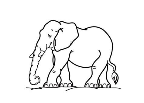 cartoon elephant coloring pages cartoon coloring pages