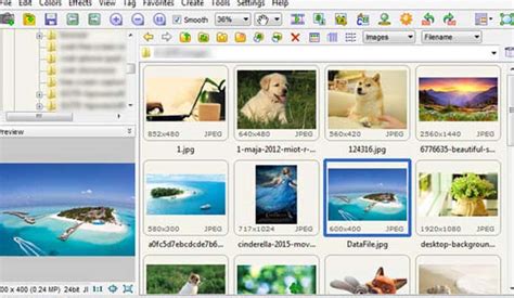 windows photo viewer   software