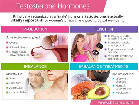 natural testosterone hormones shecares