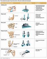 Different Types Joints Images
