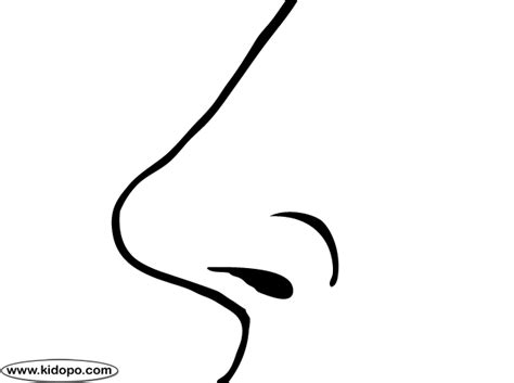 nose coloring page  week  pinterest