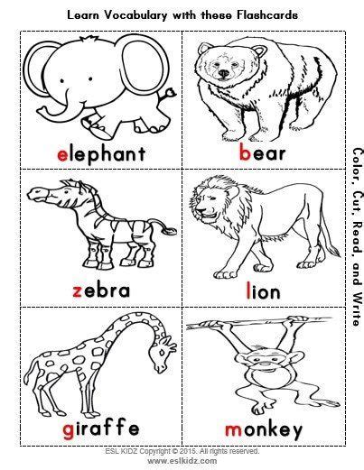 zoo worksheets  kindergarten zoo activities games  worksheets