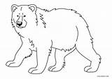 Ausmalbilder Malvorlagen Baren Bären Claws Druckbare Ausdrucken sketch template