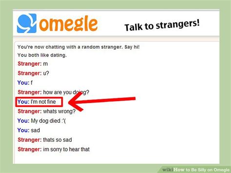how to be silly on omegle 9 steps with pictures wikihow