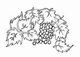 Coloring Leaves Pages Grapes Printable Print sketch template
