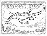 Plesiosaurus Plesiosaur Dinosaurier Ferocious Lived Ausmalen Ichthyosaur Tsgos Papier Vorlagen sketch template
