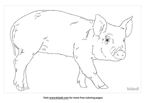 pigs coloring page  animals coloring page coloring home