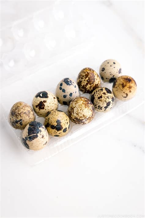 quail egg   cookbook