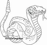 Coloring Anaconda Pages Snake Mamba Cobra King Getcolorings Kids Color Printable Getdrawings Colorings sketch template